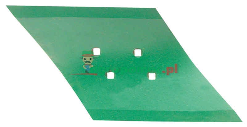 Skimmer share | 096550 | zdjęcie nr 1